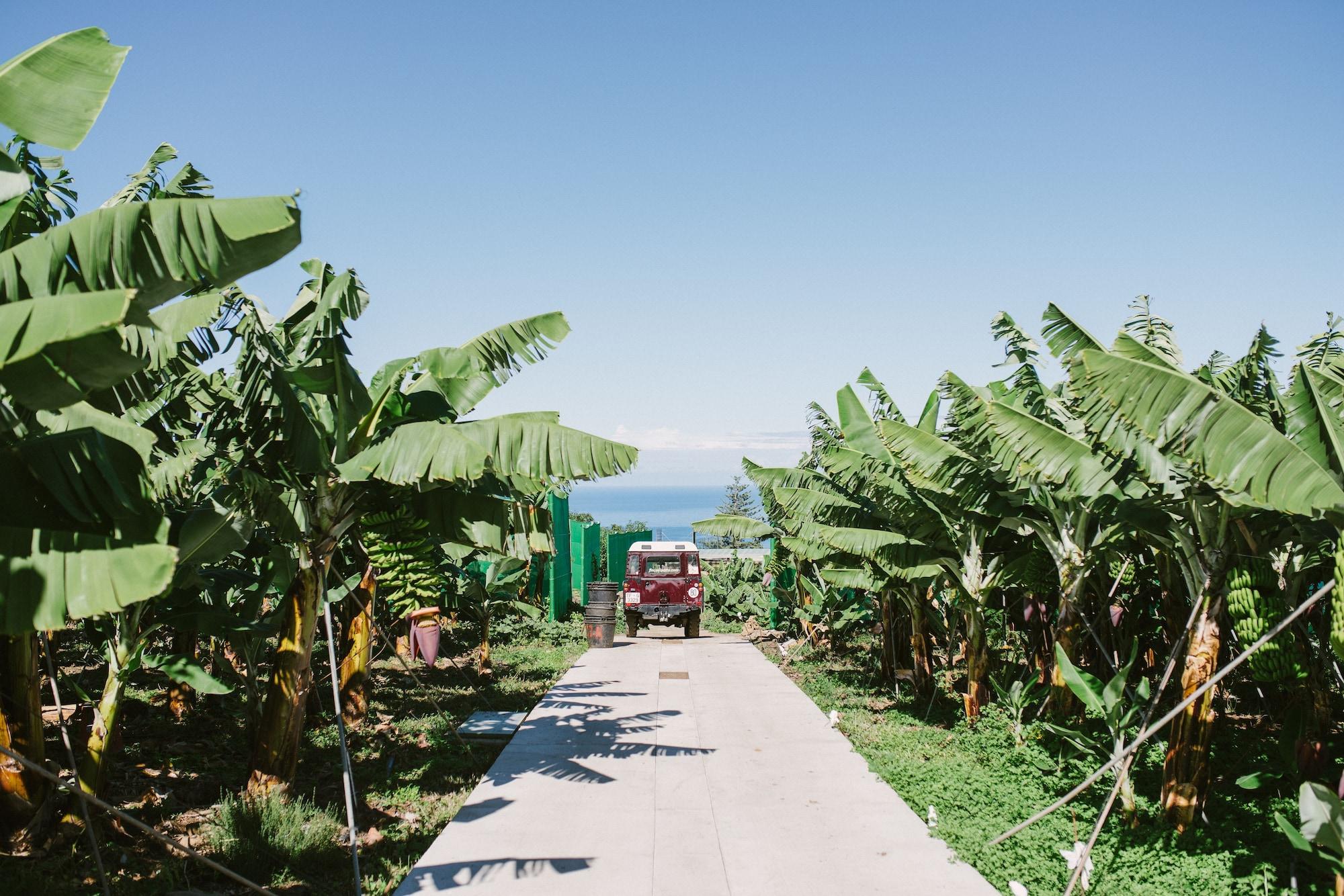 Finca El Patio Los Realejos Ngoại thất bức ảnh