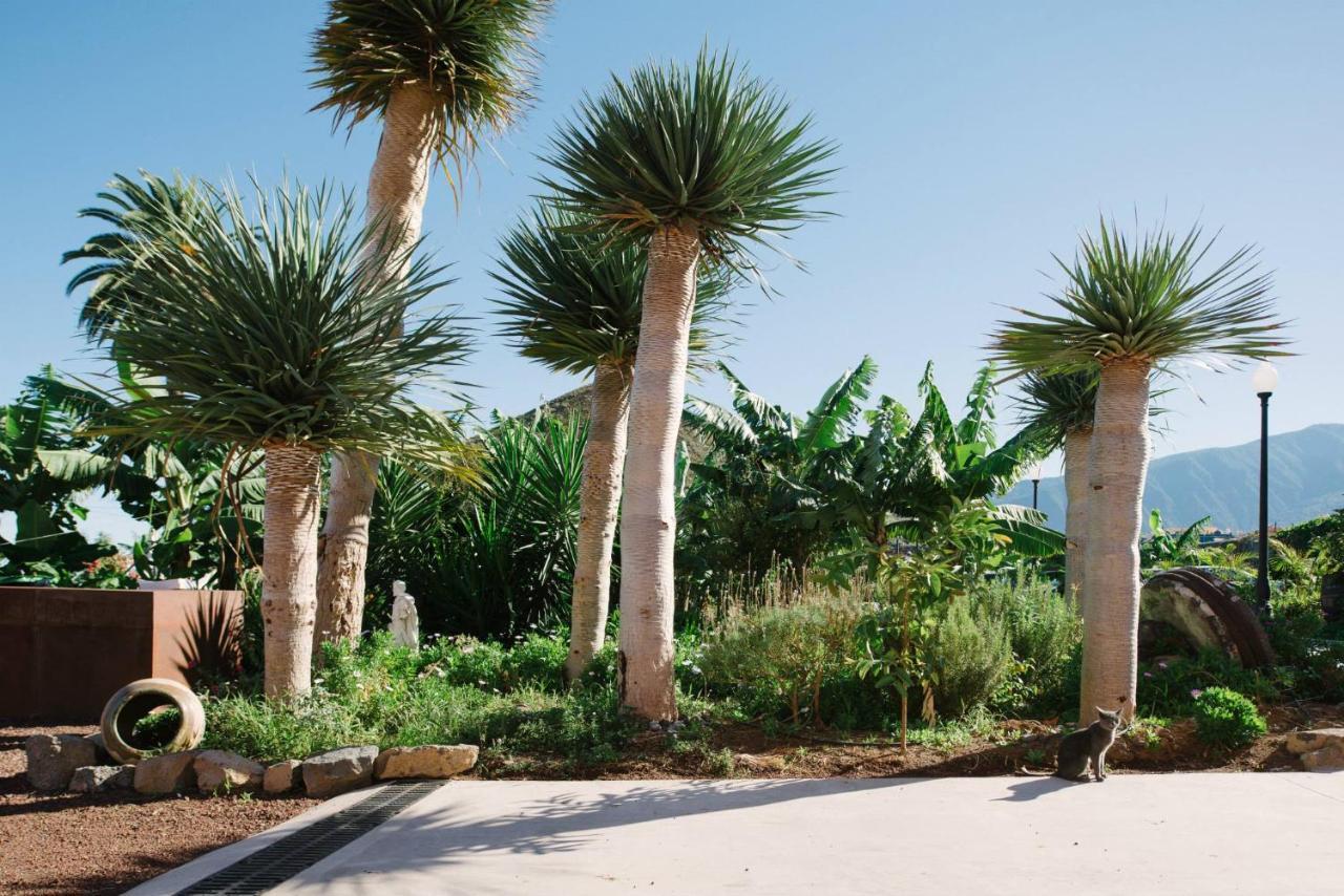 Finca El Patio Los Realejos Ngoại thất bức ảnh