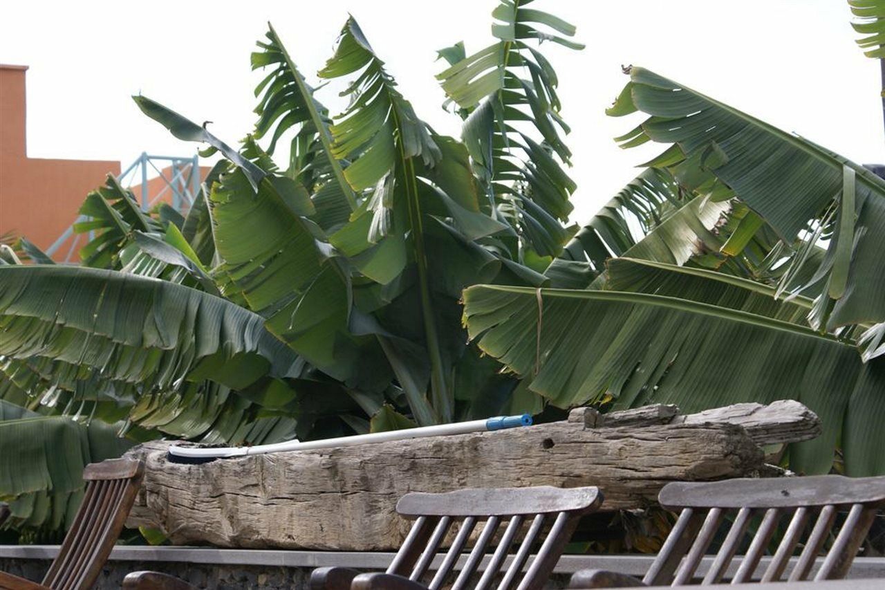 Finca El Patio Los Realejos Ngoại thất bức ảnh